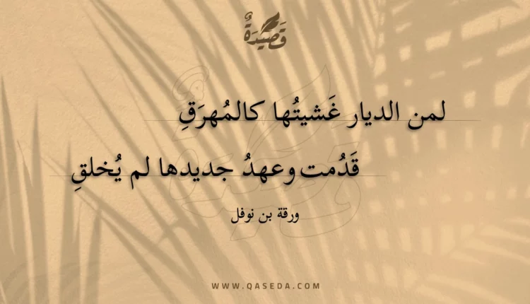 قصيدة لمن الديار غشيتها كالمهرق