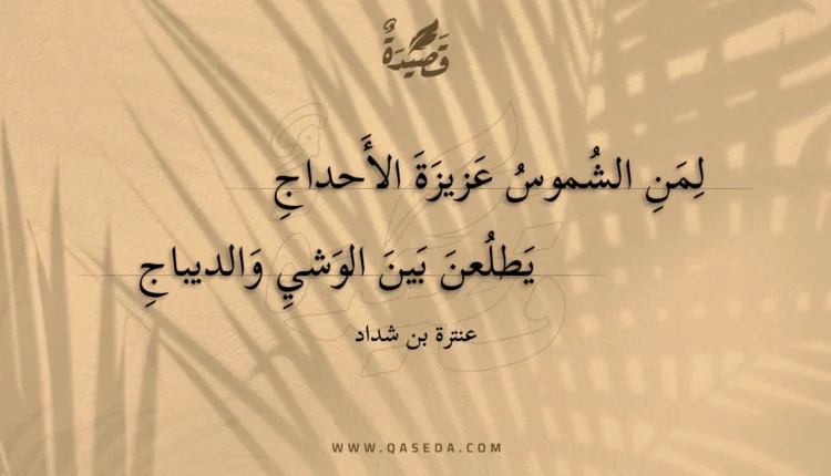 قصيدة لمن الشموس عزيزة الأحداج