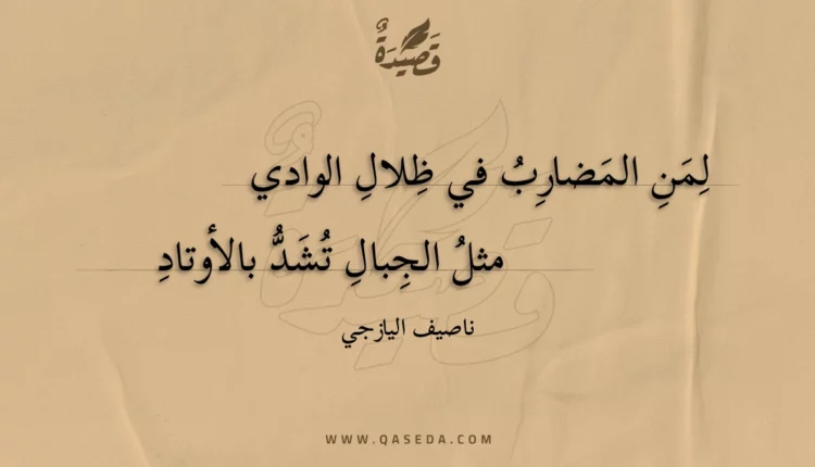 قصيدة لمن المضارب في ظلال الوادي