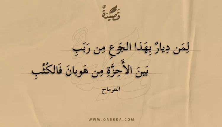 قصيدة لمن ديار بهذا الجزع من ربب