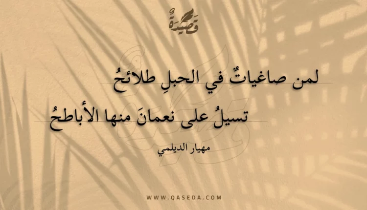 قصيدة لمن صاغيات في الحبل طلائح