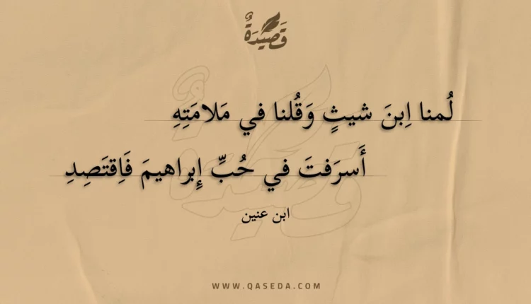 قصيدة لمنا ابن شيث وقلنا في ملامته
