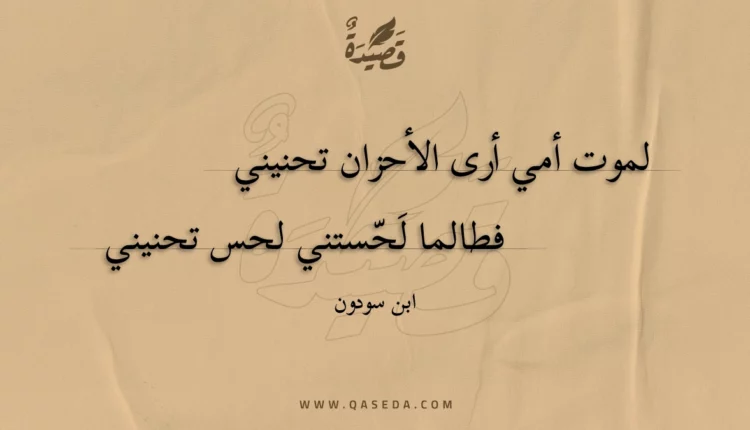 قصيدة لموت أمي أرى الأحزان تحنيني