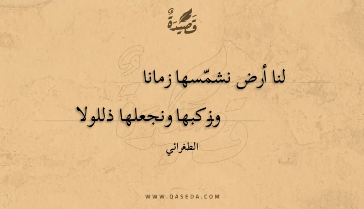 قصيدة لنا أرض نشمسها زمانا
