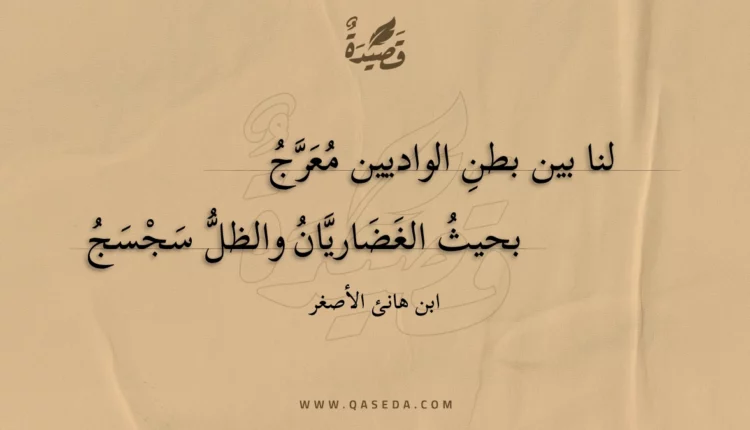 قصيدة لنا بين بطن الواديين معرج