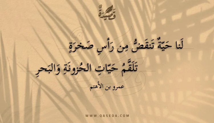 قصيدة لنا حية تنقض من رأس صخرة