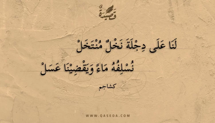 قصيدة لنا على دجلة نخل منتخل