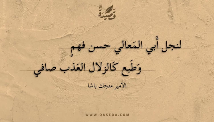 قصيدة لنجل أبي المعالي حسن فهم