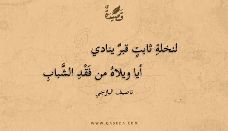 قصيدة لنخلة ثابت قبر ينادي