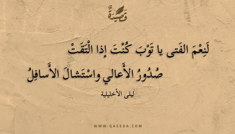 قصيدة لنعم الفتى يا توب كنت إذا التقت