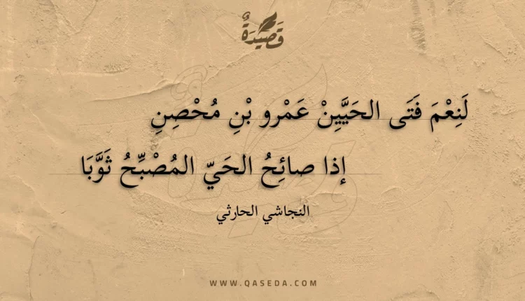 قصيدة لنعم فتى الحيين عمرو بن محصن