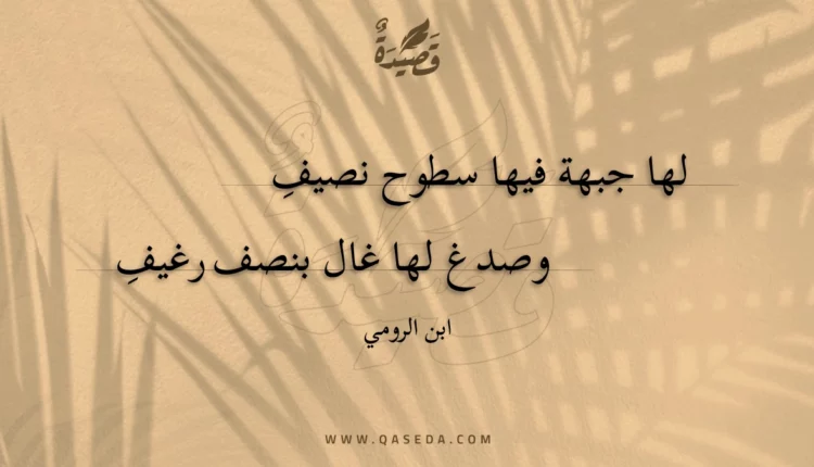 قصيدة لها جبهة فيها سطوح نصيف