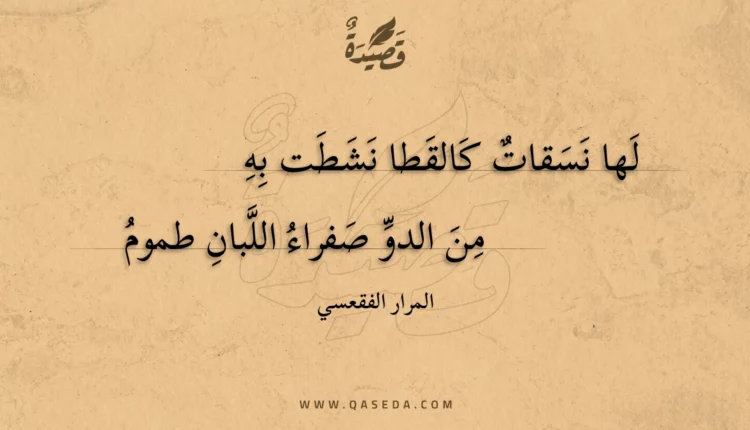 قصيدة لها نسقات كالقطا نشطت به