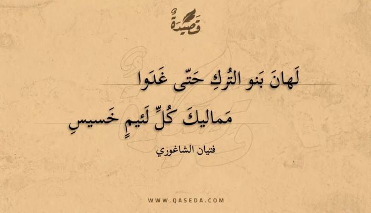 قصيدة لهان بنو الترك حتى غدوا