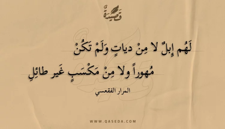 قصيدة لهم إبل لا من ديات ولم تكن