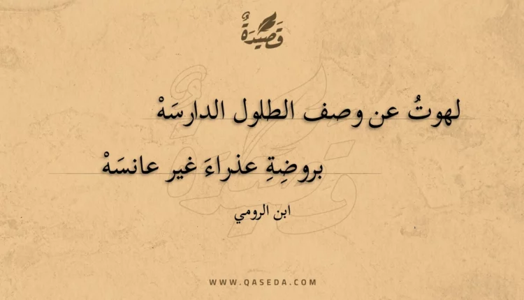قصيدة لهوت عن وصف الطلول الدارسه