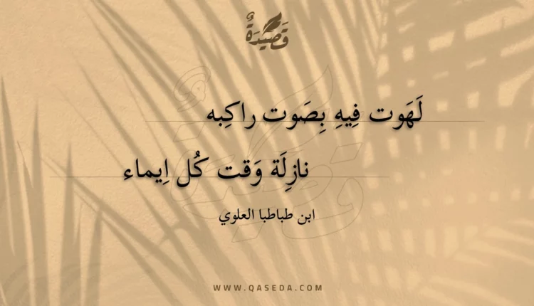 قصيدة لهوت فيه بصوت راكبه