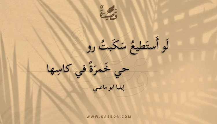 قصيدة لو أستطيع سكبت رو حي خمرة في كاسها