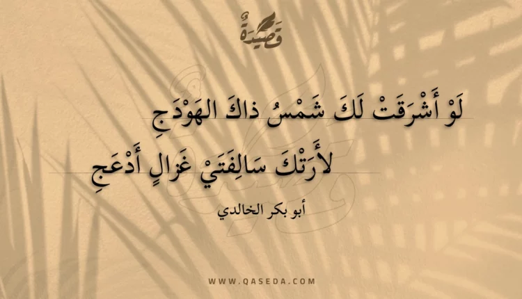 قصيدة لو أشرقت لك شمس ذاك الهودج