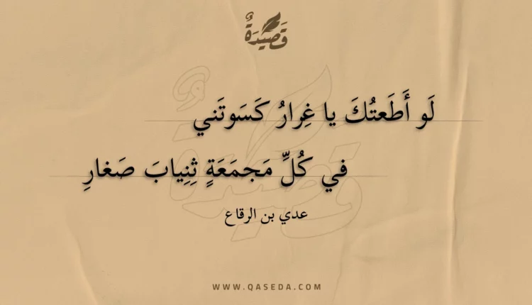 قصيدة لو أطعتك يا غرار كسوتني
