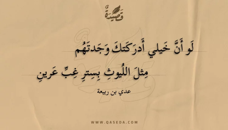 قصيدة لو أن خيلي أدركتك وجدتهم