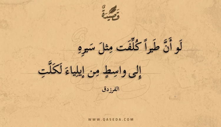 قصيدة لو أن طيرا كلفت مثل سيره