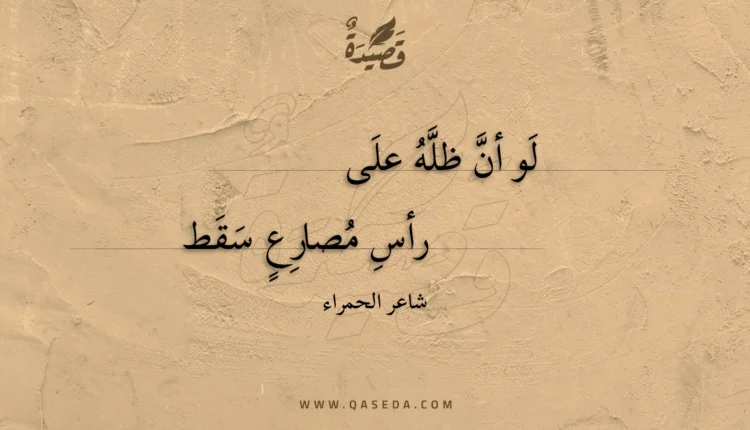 قصيدة لو أن ظله على