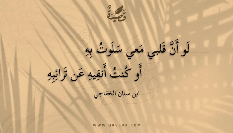 قصيدة لو أن قلبي معي سلوت به