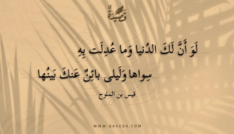 قصيدة لو أن لك الدنيا وما عدلت به