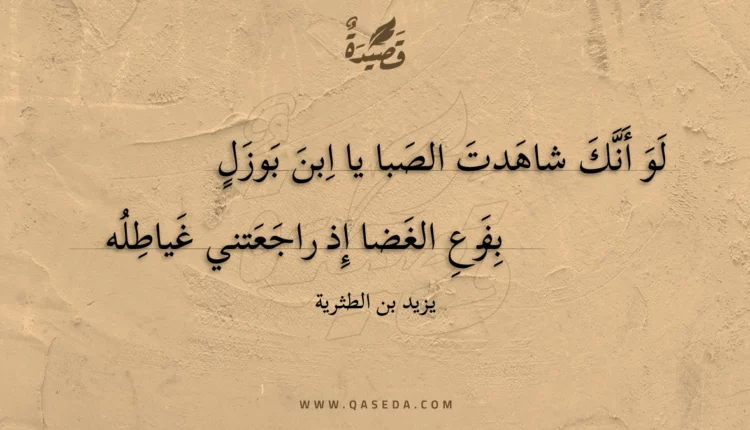 قصيدة لو أنك شاهدت الصبا يا ابن بوزل