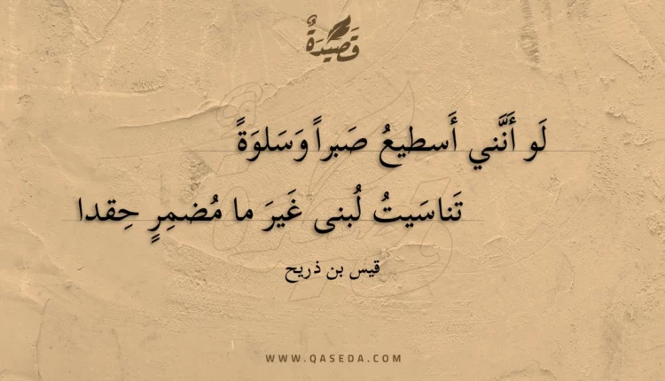 قصيدة لو أنني أسطيع صبرا وسلوة