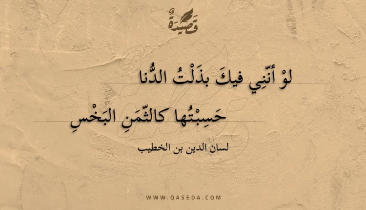 قصيدة لو أنني فيك بذلت الدنا