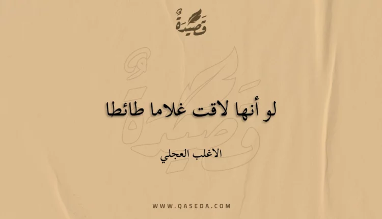 قصيدة لو أنها لاقت غلاما طائطا