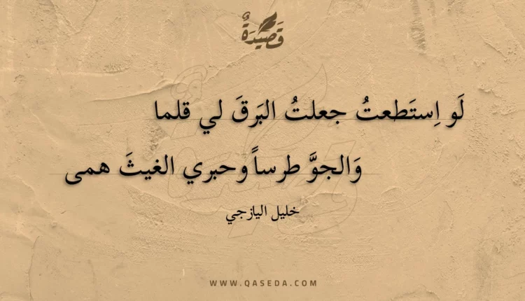قصيدة لو استطعت جعلت البرق لي قلما