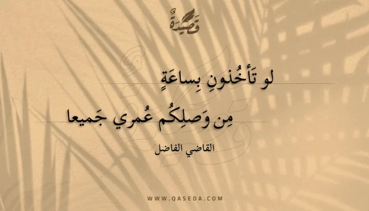قصيدة لو تأخذون بساعة