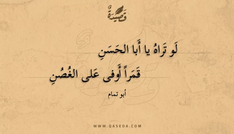 قصيدة لو تراه يا أبا الحسن