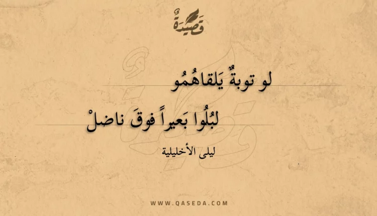 قصيدة لو توبة يلقاهمو
