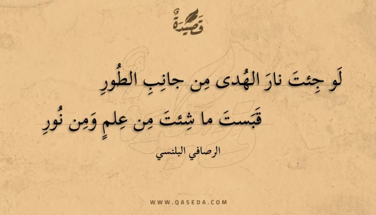 قصيدة لو جئت نار الهدى من جانب الطور