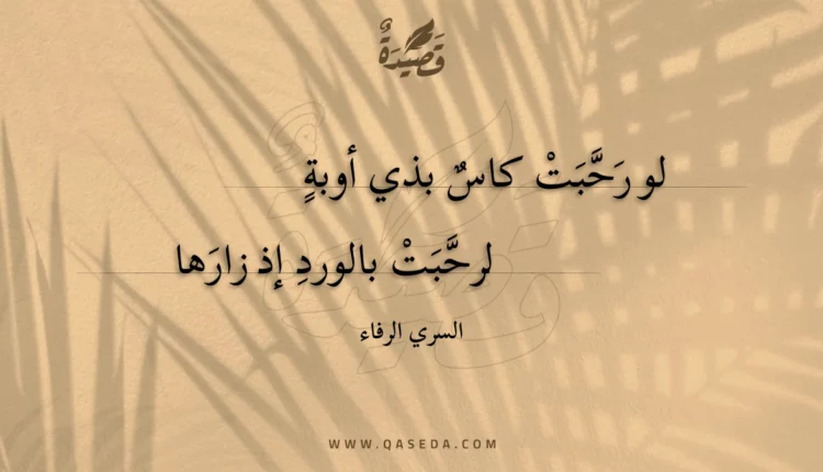 قصيدة لو رحبت كاس بذي أوبة