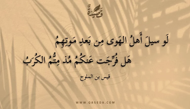 قصيدة لو سيل أهل الهوى من بعد موتهم