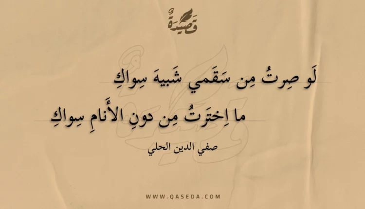 قصيدة لو صرت من سقمي شبيه سواك