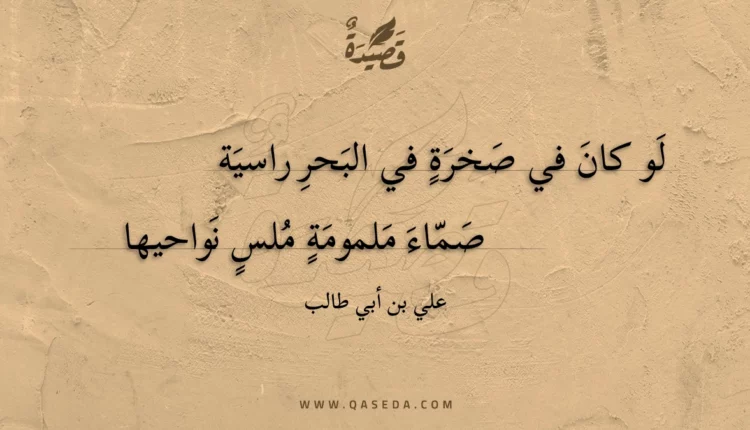 قصيدة لو كان في صخرة في البحر راسية