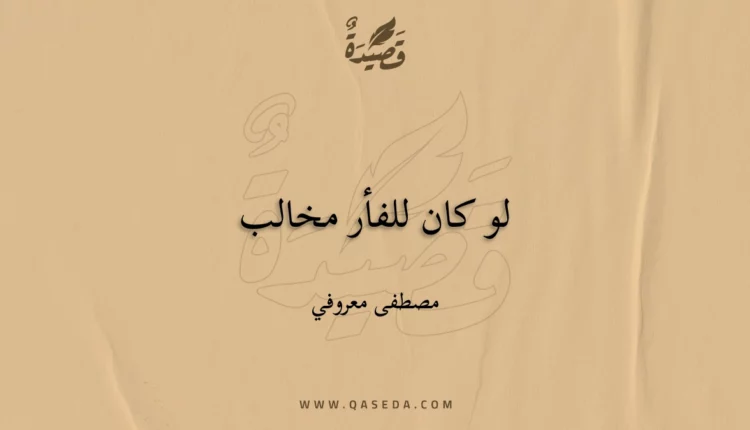 قصيدة لو كان للفأر مخالب