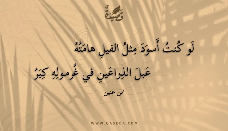 قصيدة لو كنت أسود مثل الفيل هامته