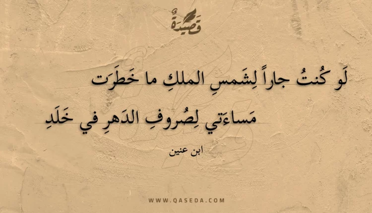 قصيدة لو كنت جاراً لشمس الملك ما خطرت