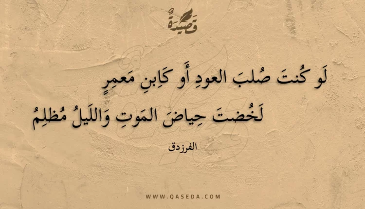 قصيدة لو كنت صلب العود أو كابن معمر
