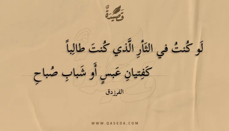 قصيدة لو كنت في الثأر الذي كنت طالبا