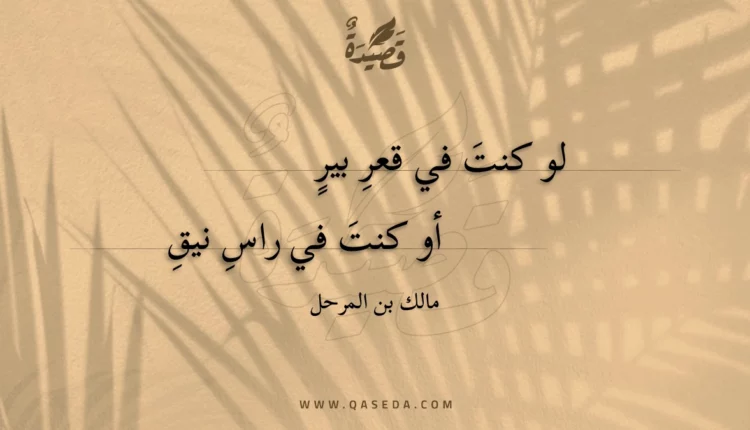 قصيدة لو كنت في قعر بير