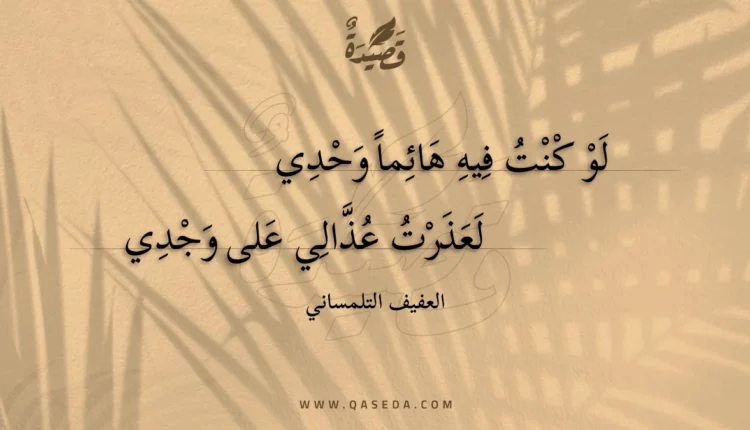 قصيدة لو كنت فيه هائما وحدي