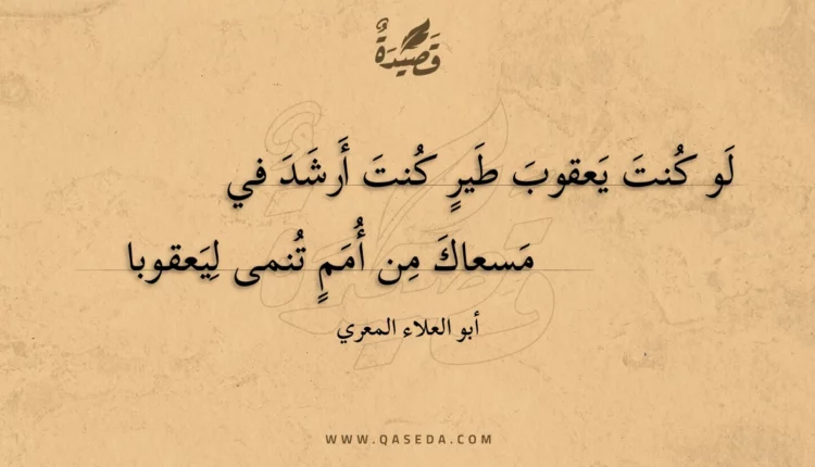 قصيدة لو كنت يعقوب طير كنت أرشد في